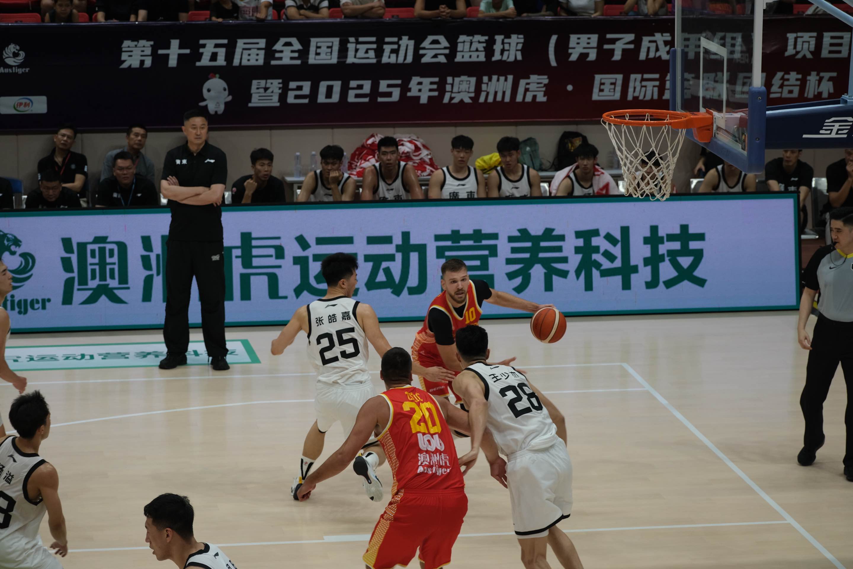 明尼苏达森林狼训练开放日，冲刺阶段临场应变引欢呼，CBA季后赛在即，控场能力受关注的简单介绍